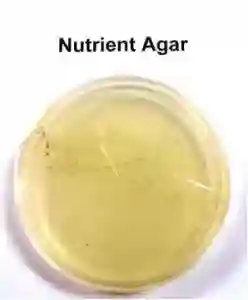 خرید نوترینت آگار Nutrient Agar (1)